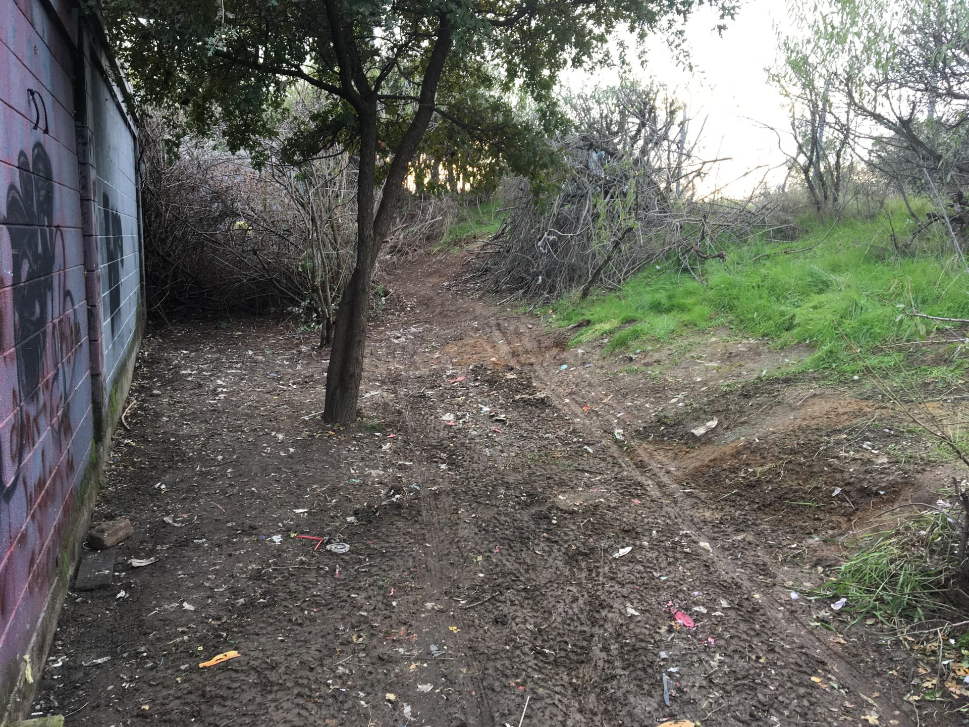 Illegal Dumping Removal after Long's Trash Hauling